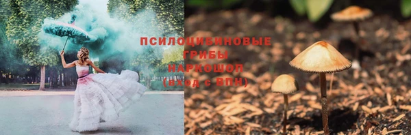 мдпв Богородицк