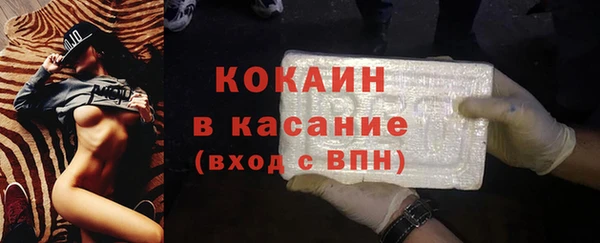 шишки Богородск