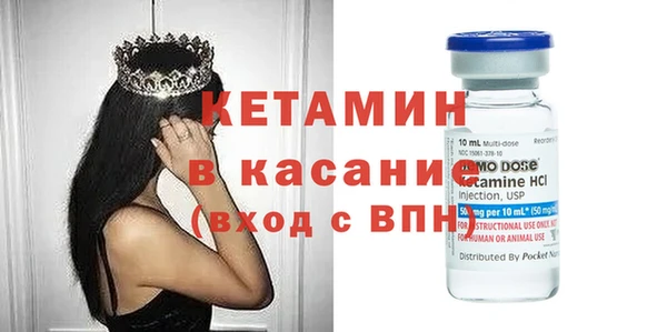 ГАЛЛЮЦИНОГЕННЫЕ ГРИБЫ Бородино