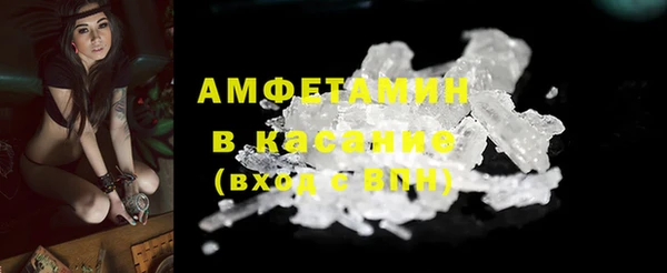 PSILOCYBIN Богданович