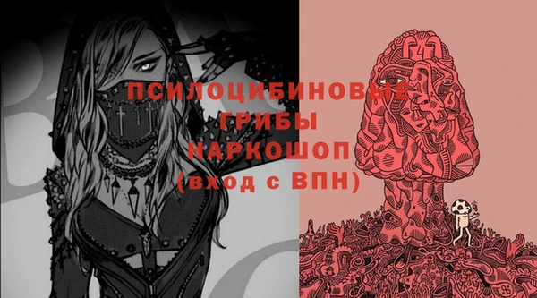 PSILOCYBIN Бугульма