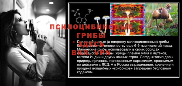 шишки Богородск