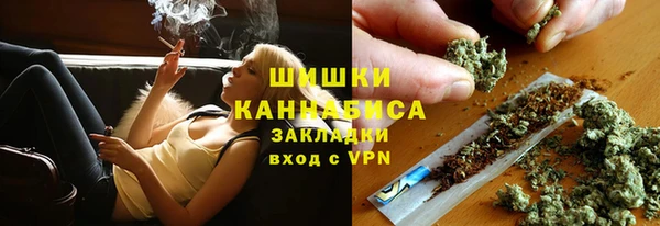 мдпв Богородицк